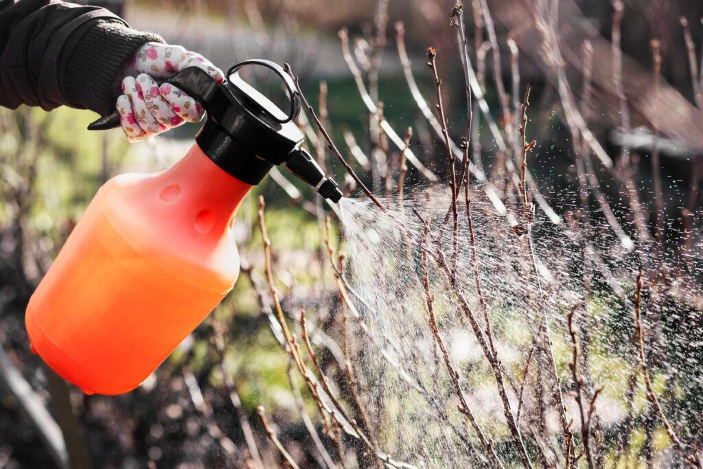 tree and shrub care services, home, simply green