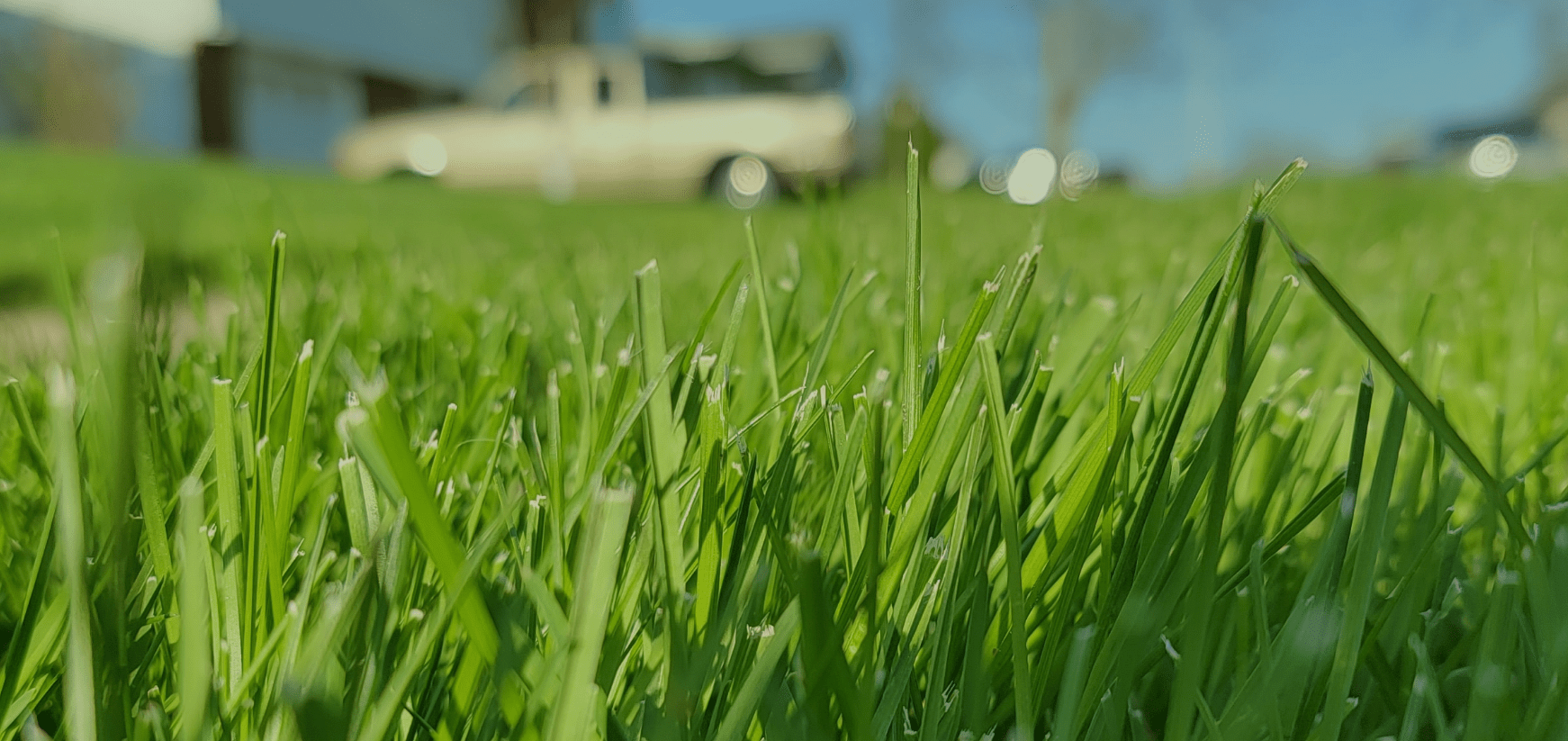 Simply green, services, home