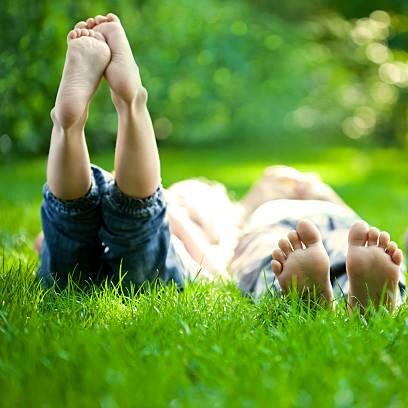 lawn fertilization and weed control, services, simply green