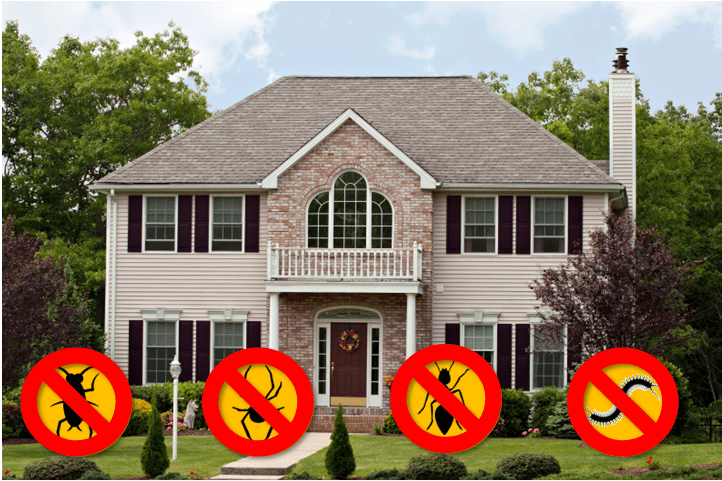 perimeter pest control, services, simply green